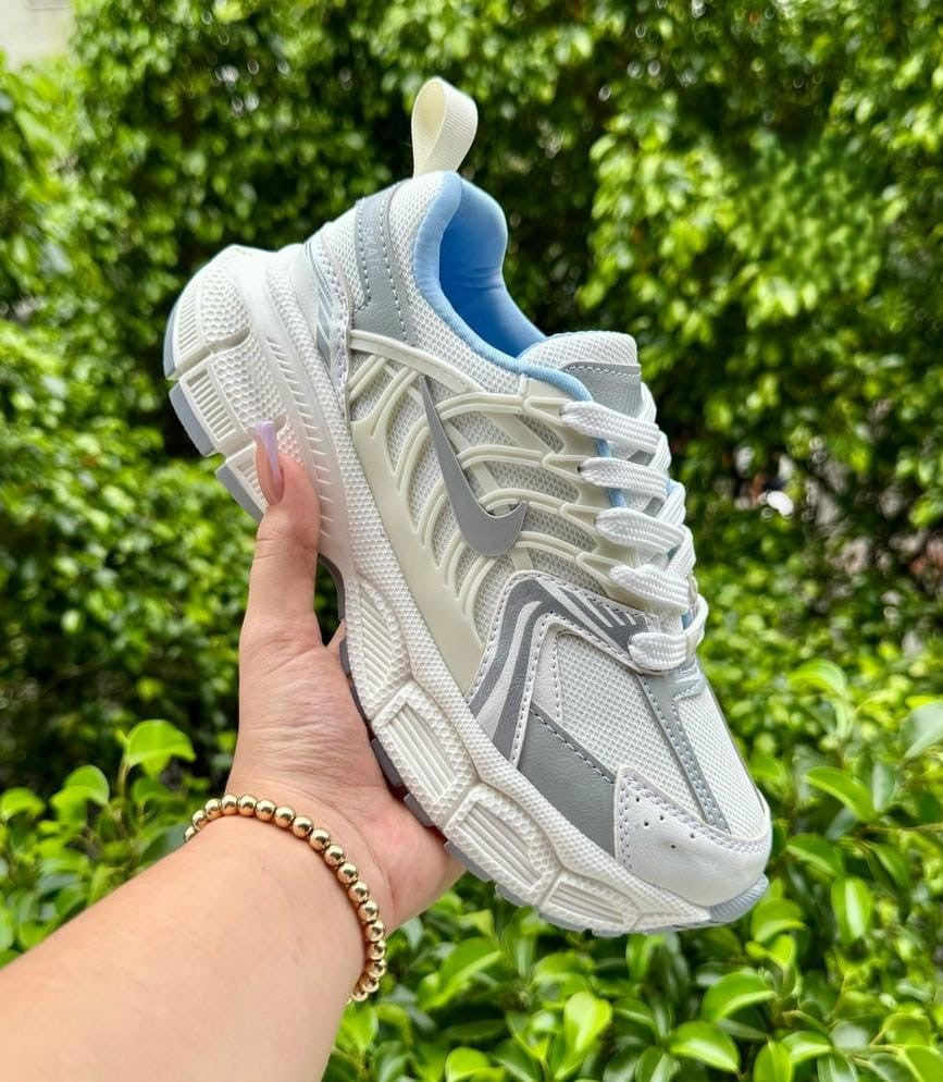 Tenis Nike Skate Arana