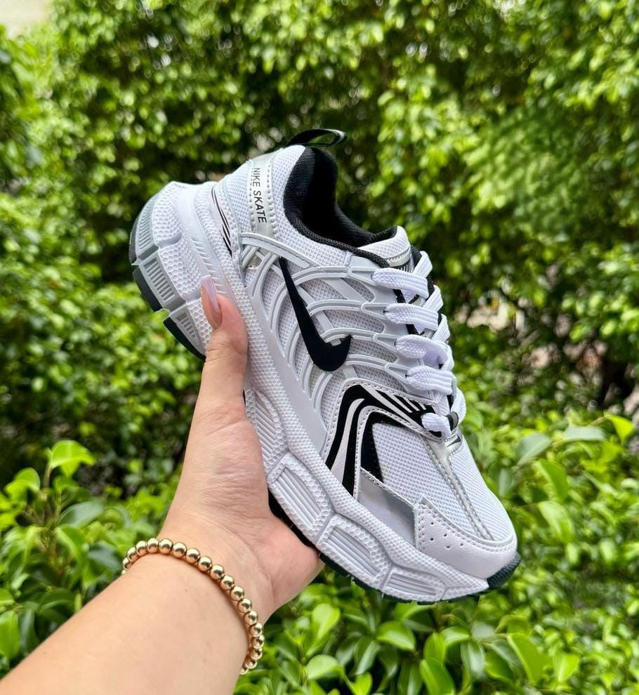 Tenis Nike Skate Arana