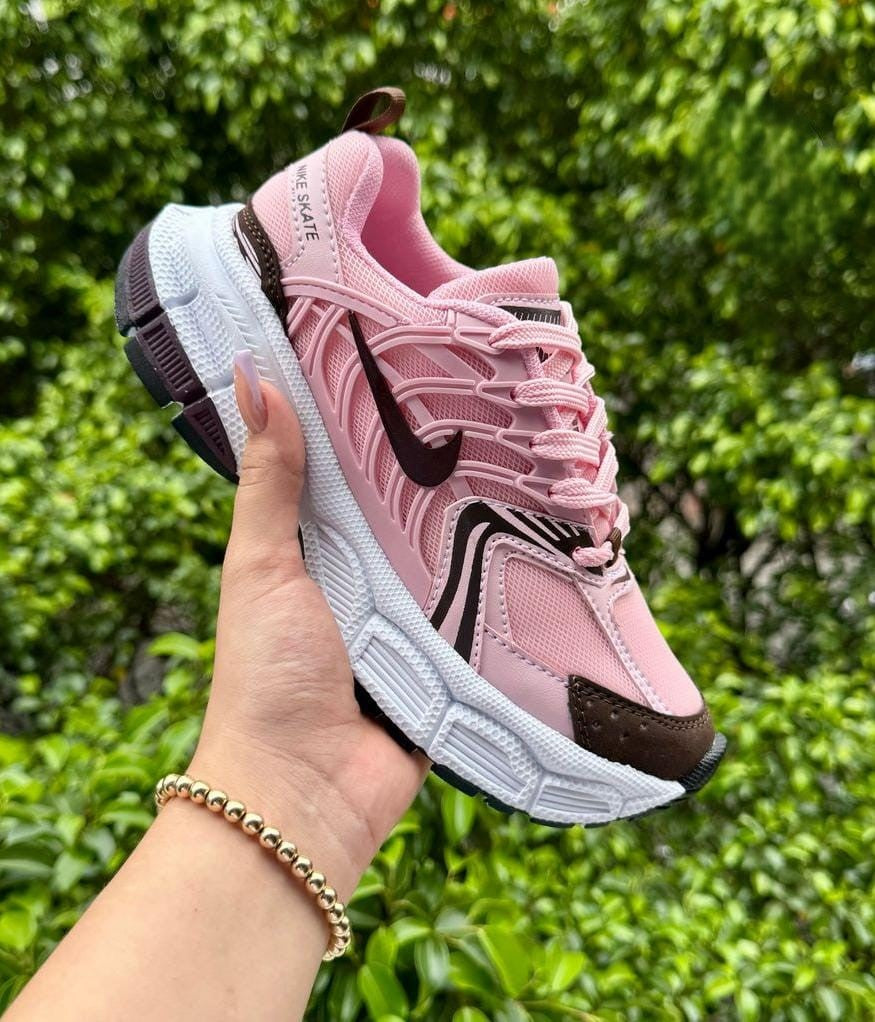 Tenis Nike Skate Arana