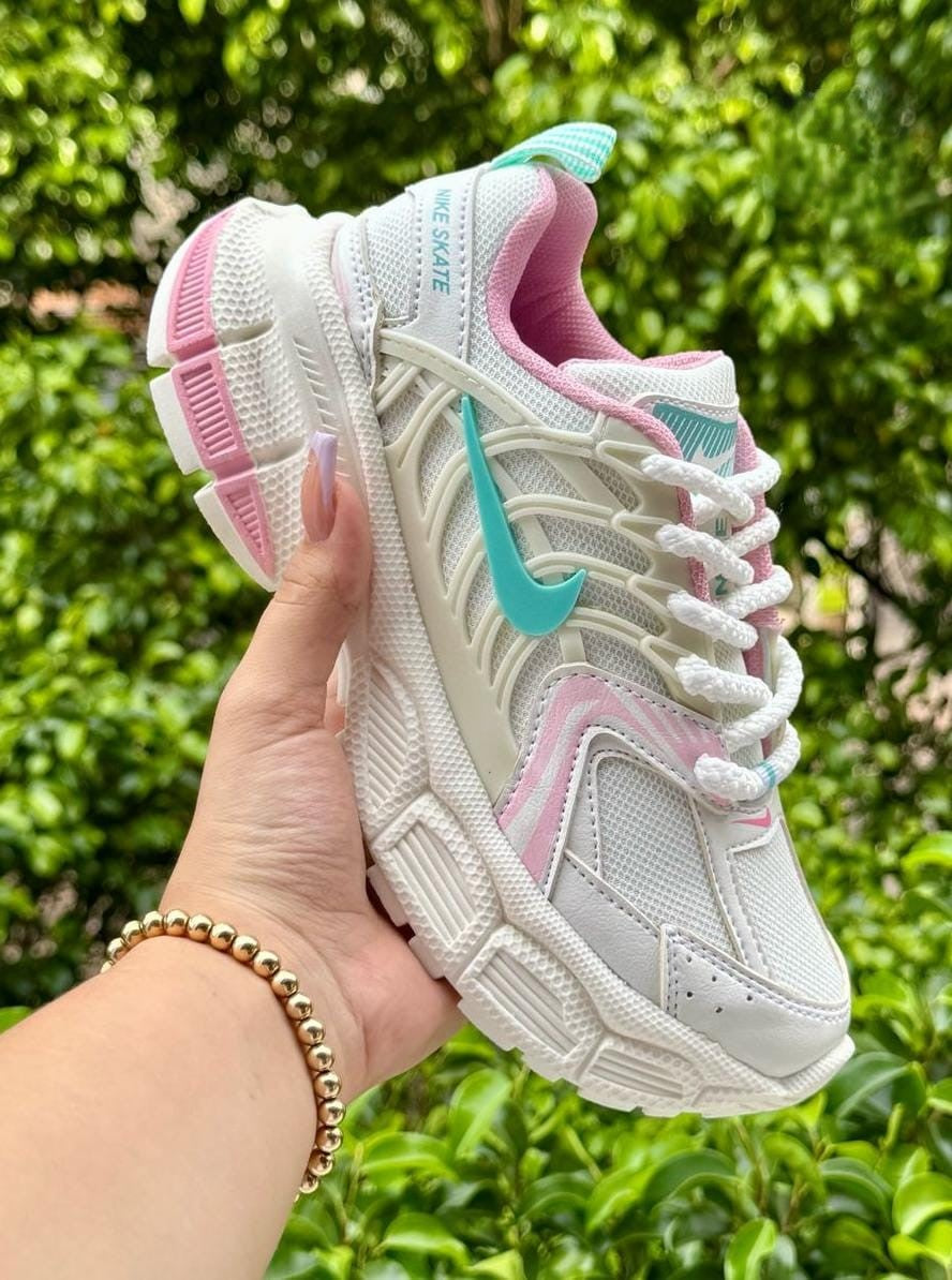 Tenis Nike Skate Arana