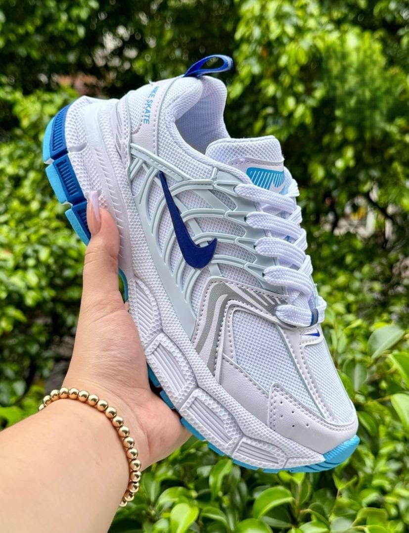 Tenis Nike Skate Arana